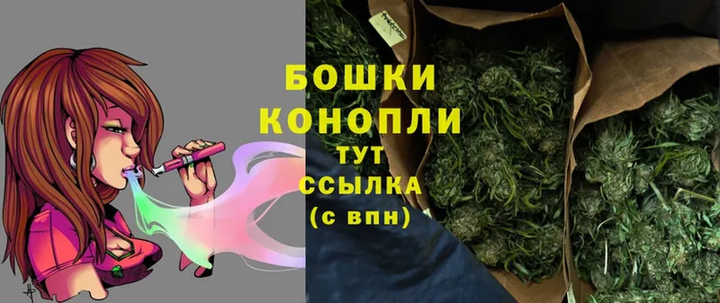 kraken онион  Кимры  Каннабис SATIVA & INDICA 